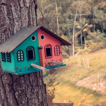 Pousada Casarao Gastehaus Pomerode Zewnętrze zdjęcie